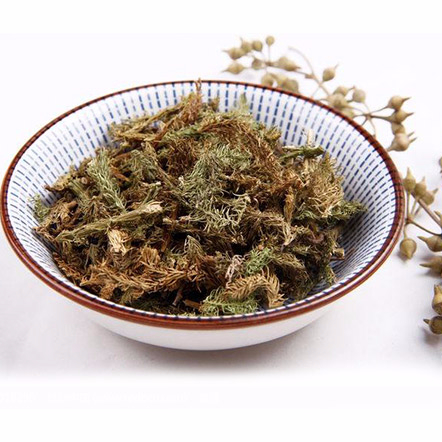 伸筋草