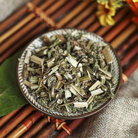 益母草