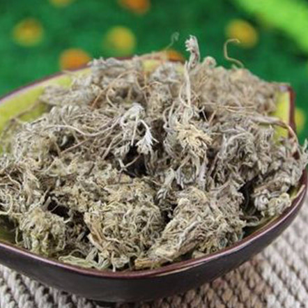 茵陳